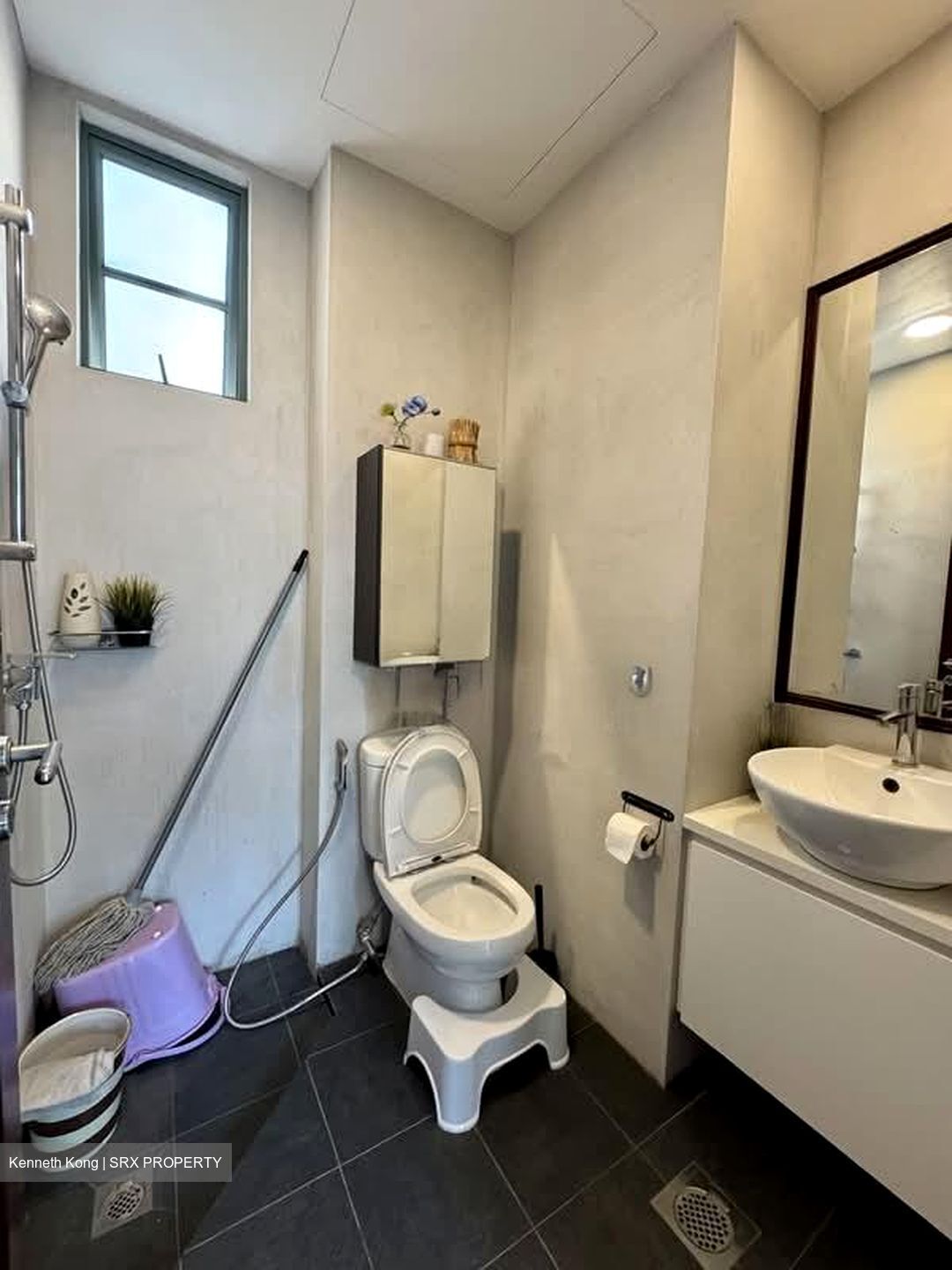 Tanglin Regency (D10), Condominium #543936931